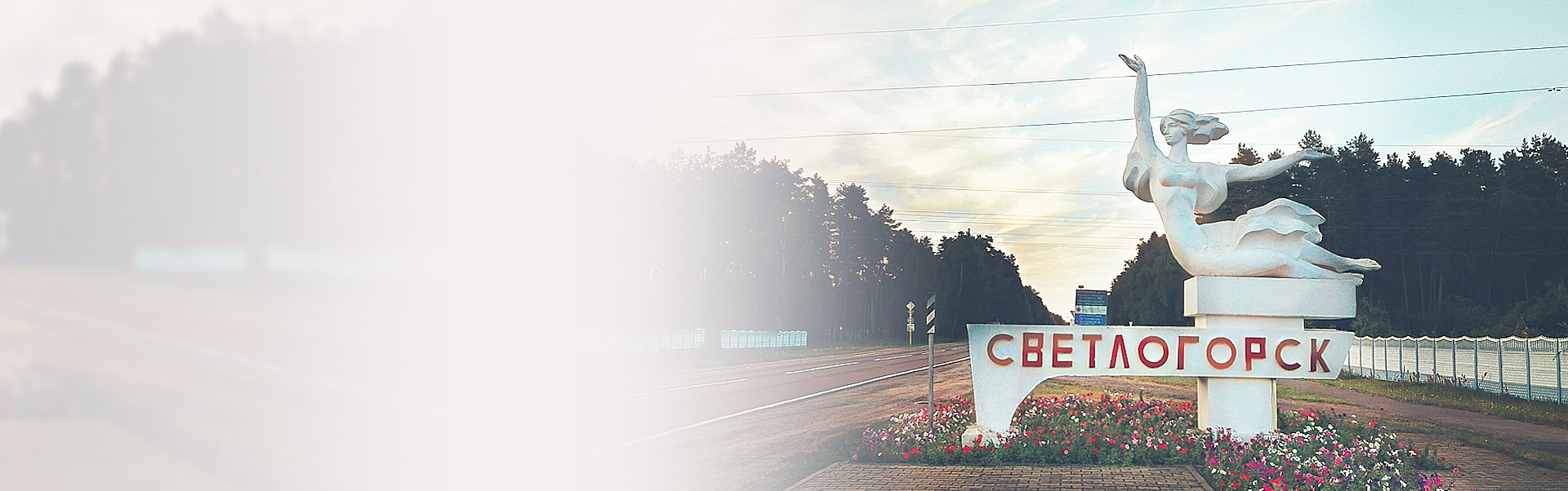 Контакты компании в Светлогорске