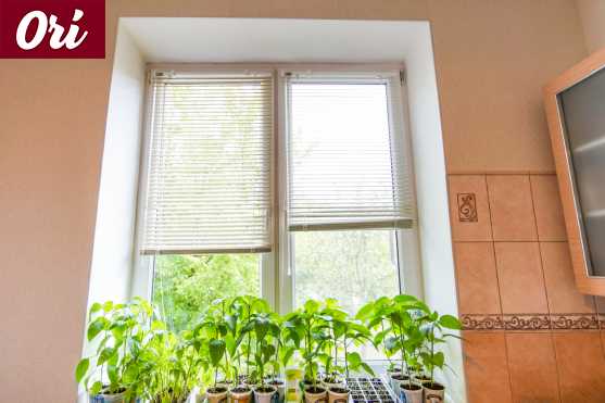 Окна ПВХ на кухне