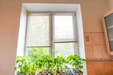 Пластиковое окно на кухне