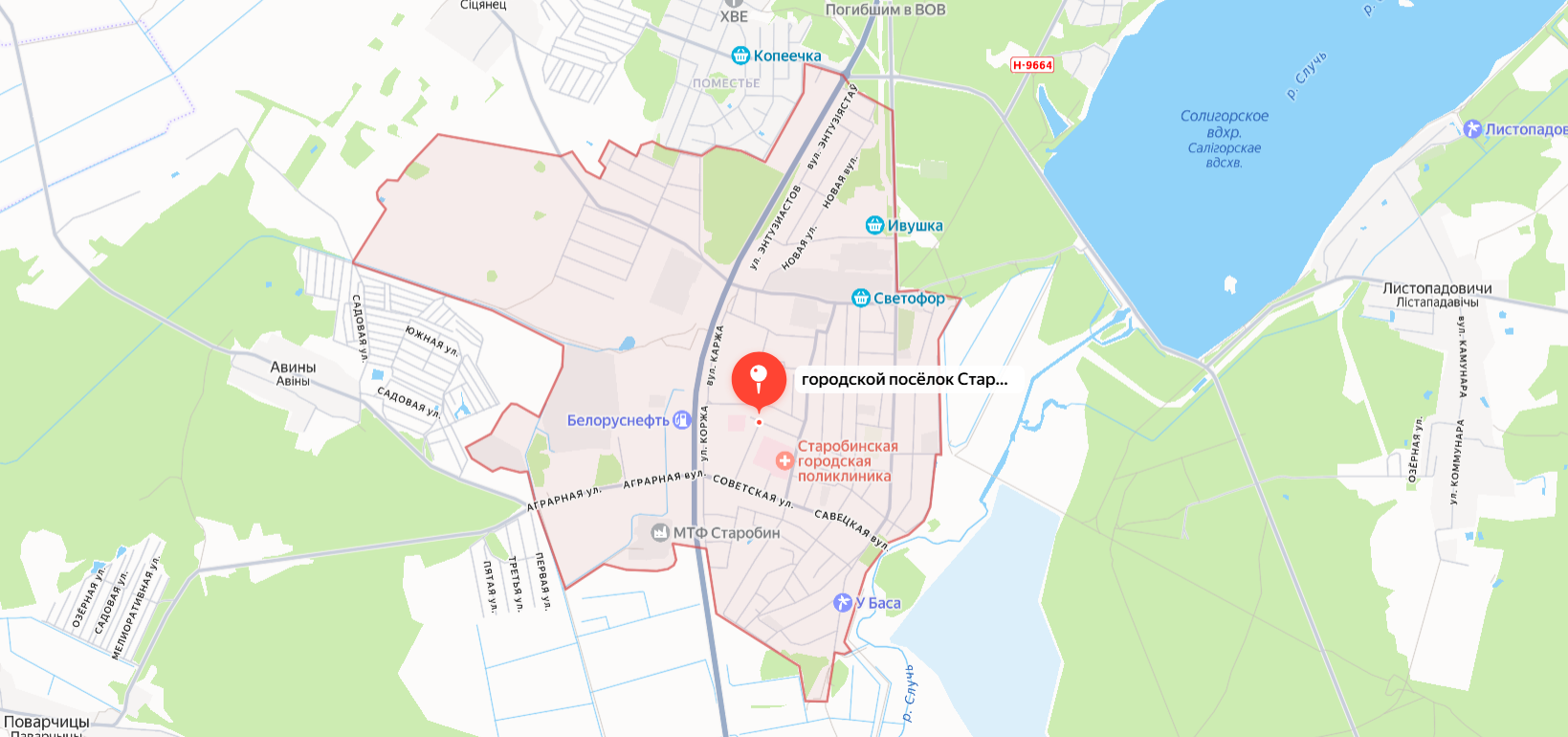 Качественные окна в Старобине